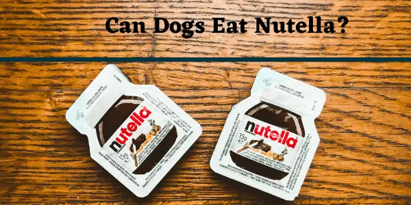 Can Dogs Eat Nutella? Read Before You Feed