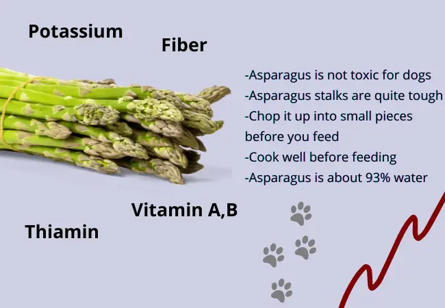 can dogs eat Asparagus