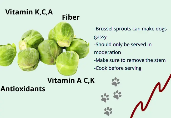 can dogs eat Brussels Sprouts? Green Leafy Vegetables Dogs Can Eat