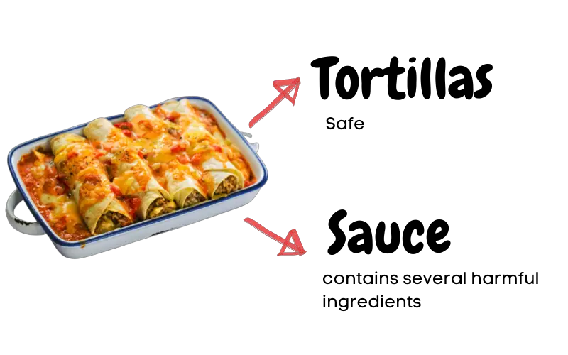 Can Dogs Eat Enchiladas