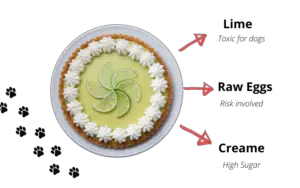 Can Dogs Eat Key Lime Pie? Interesting Facts - WhatMyDogEats