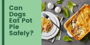 Can Dogs Eat Pot Pie? Read Before Feeding
