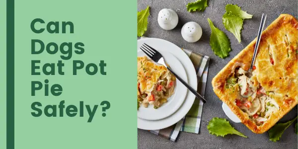 Can Dogs Eat Pot Pie Safely