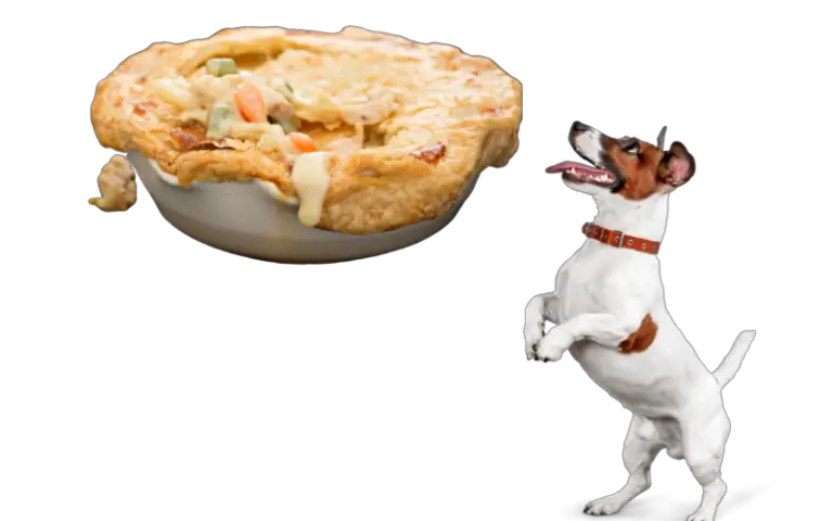 Can Dogs Eat Pot Pie? Read Before Feeding - WhatMyDogEats