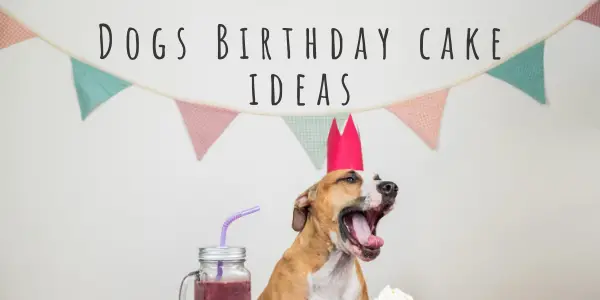 dog birthday cake ideas
