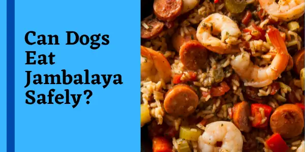 Can Dogs Eat Jambalaya Safely