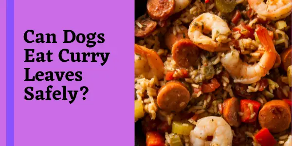 Can Dogs Eat curry leaves Safely