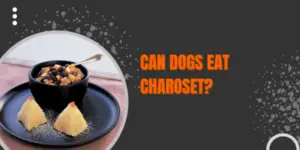 Can Dogs Safely Enjoy Charoset? Exploring the Risks and Benefits