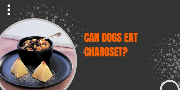 can dogs eat Charoset