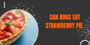 Strawberry Pie and Dogs: What You Need to Know for a Sweet and Safe Treat!