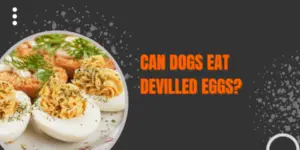 Can Dogs Eat Devilled Eggs? What You Need to Know